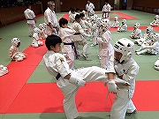 支部昇級審査会白帯