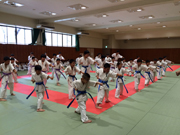 支部昇級審査会　青〜緑帯