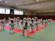 支部昇級審査会　青〜緑帯