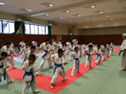 支部昇級審査会　青〜緑帯