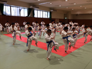 支部昇級審査会　青〜緑帯