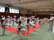 支部昇級審査会　青〜緑帯